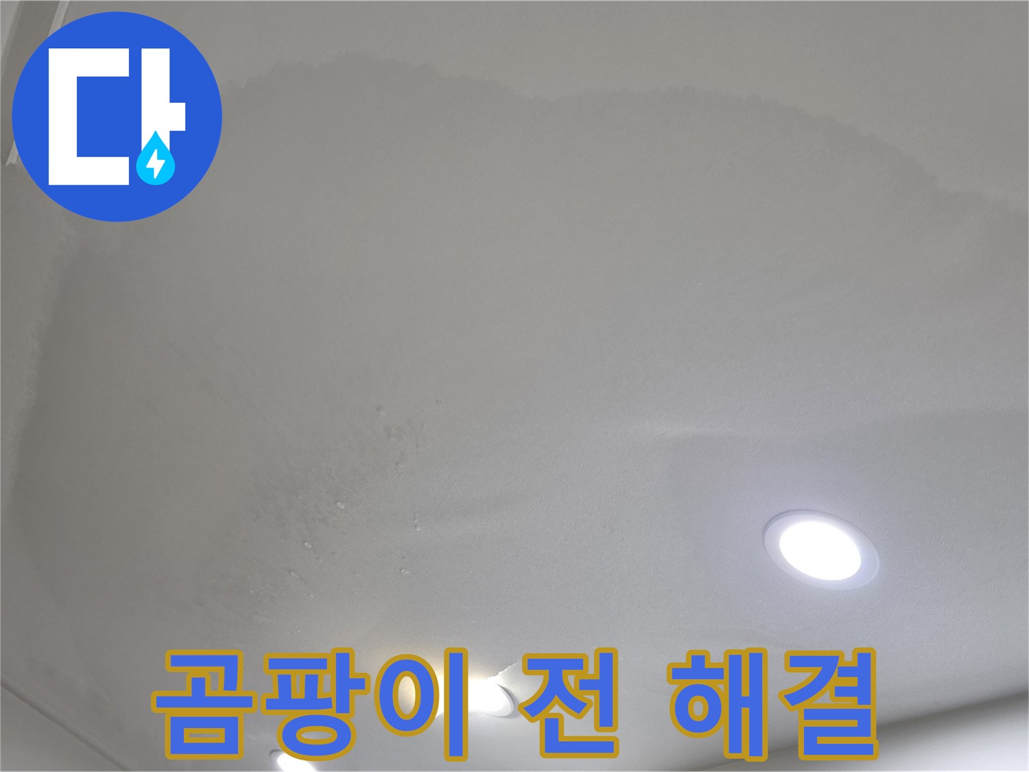 양주 아파트 누수 - 곰팡이 냄새나기 전 해결