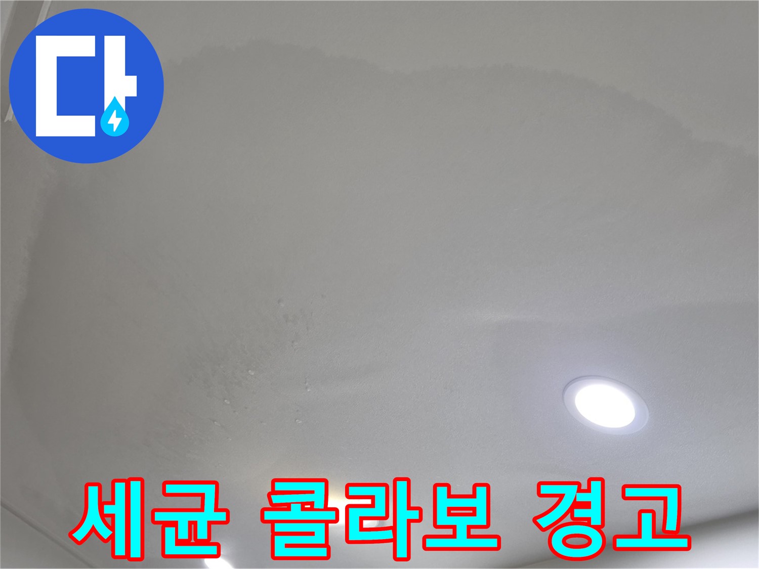 양주 아파트 누수 - 습기 머금은 천장, 곰팡이와 세균
