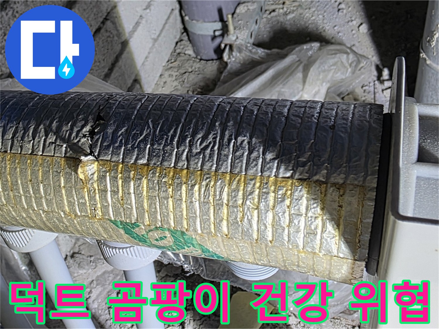 양주 자이아파트 환기 덕트 - 곰팡이, 건강 위협