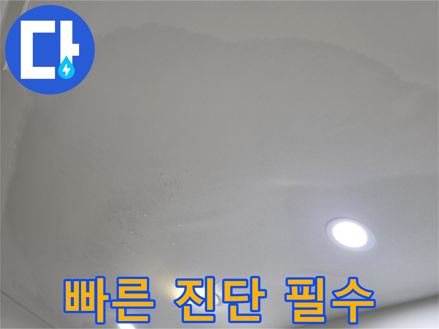 양주 천장 누수 - 젖어 늘어진 부위, 빠른 진단