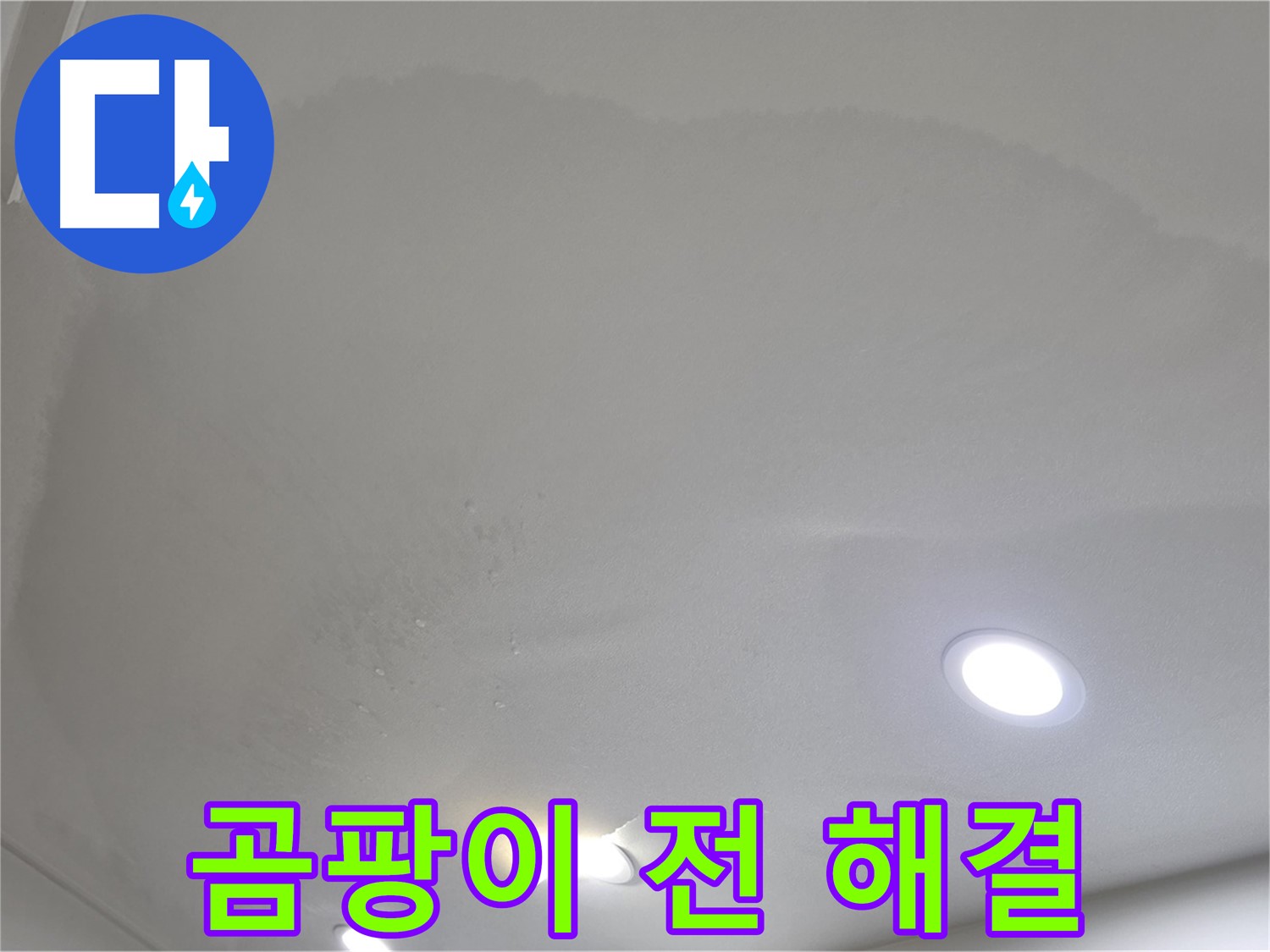 양주 아파트 천장 누수 - 곰팡이 발생 전 해결 중요