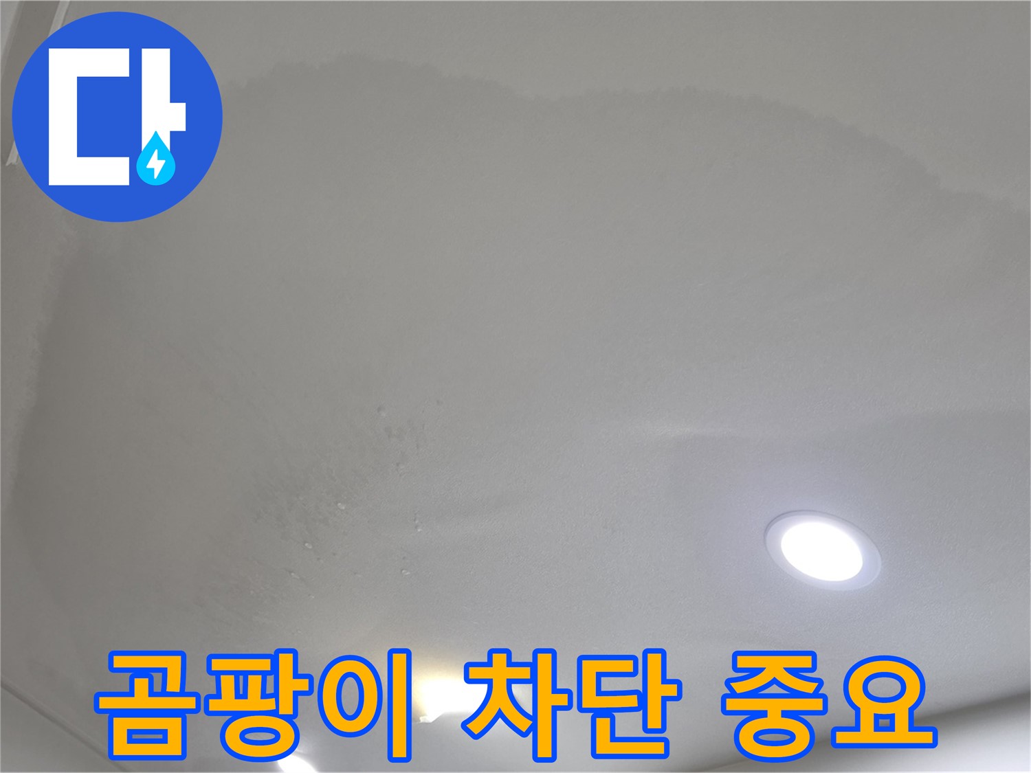 양주 아파트 누수 - 곰팡이, 지금 바로 차단