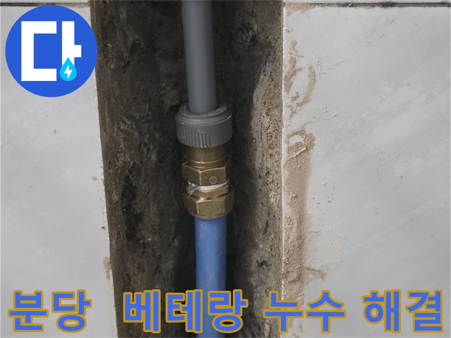 분당 쇳골 - 베테랑의 손길로 누수 완벽하게 해결