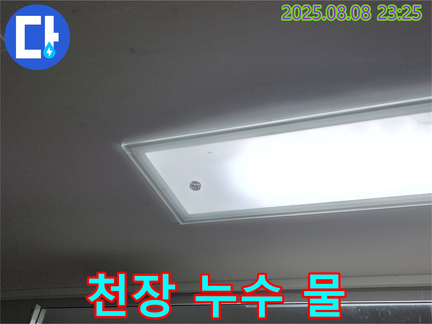 천장에서 떨어지는 누수 물 - 즉시 조치 필요!
