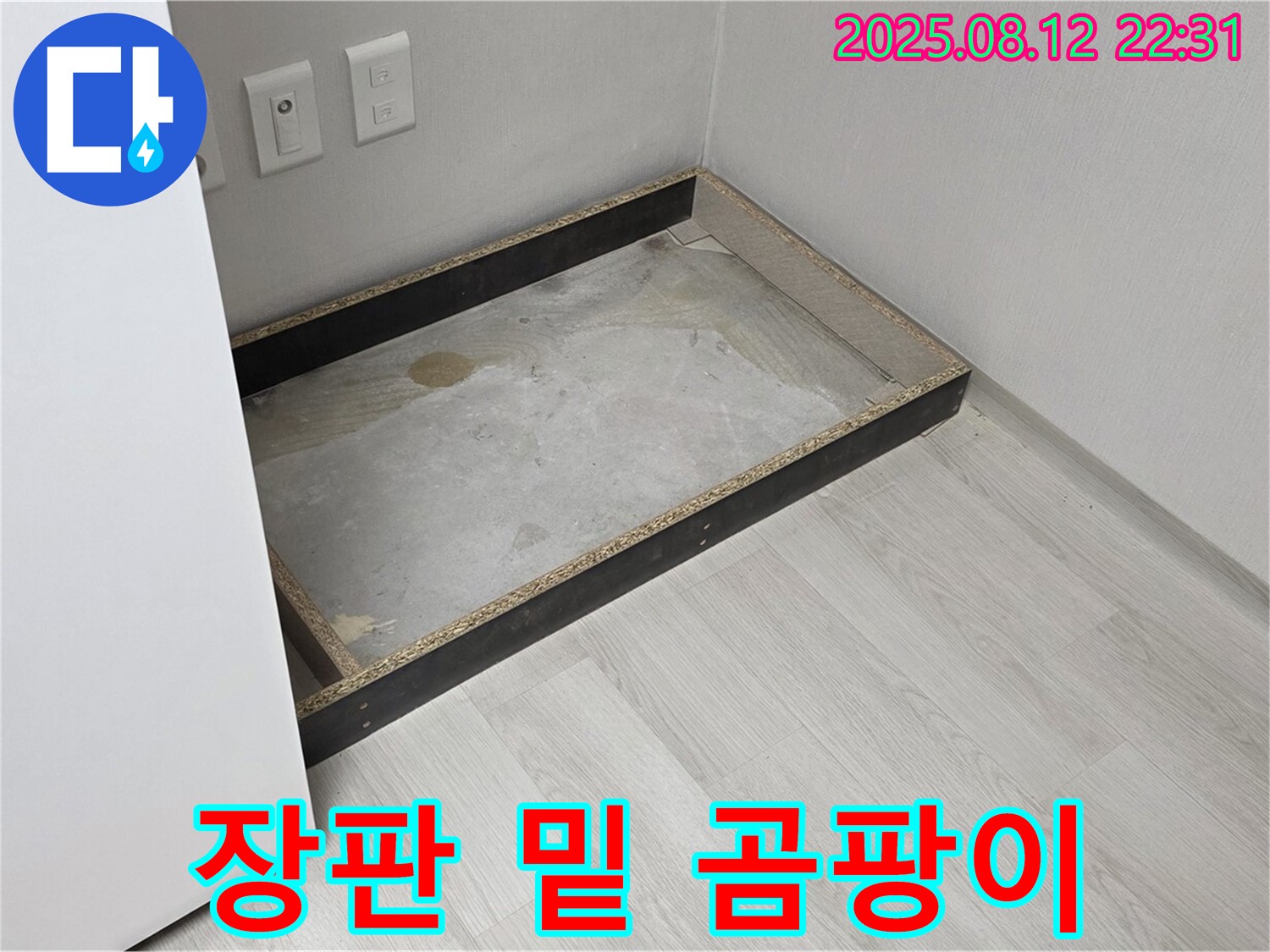 길음동 누수 - 장판 밑 곰팡이, 건강 지킴