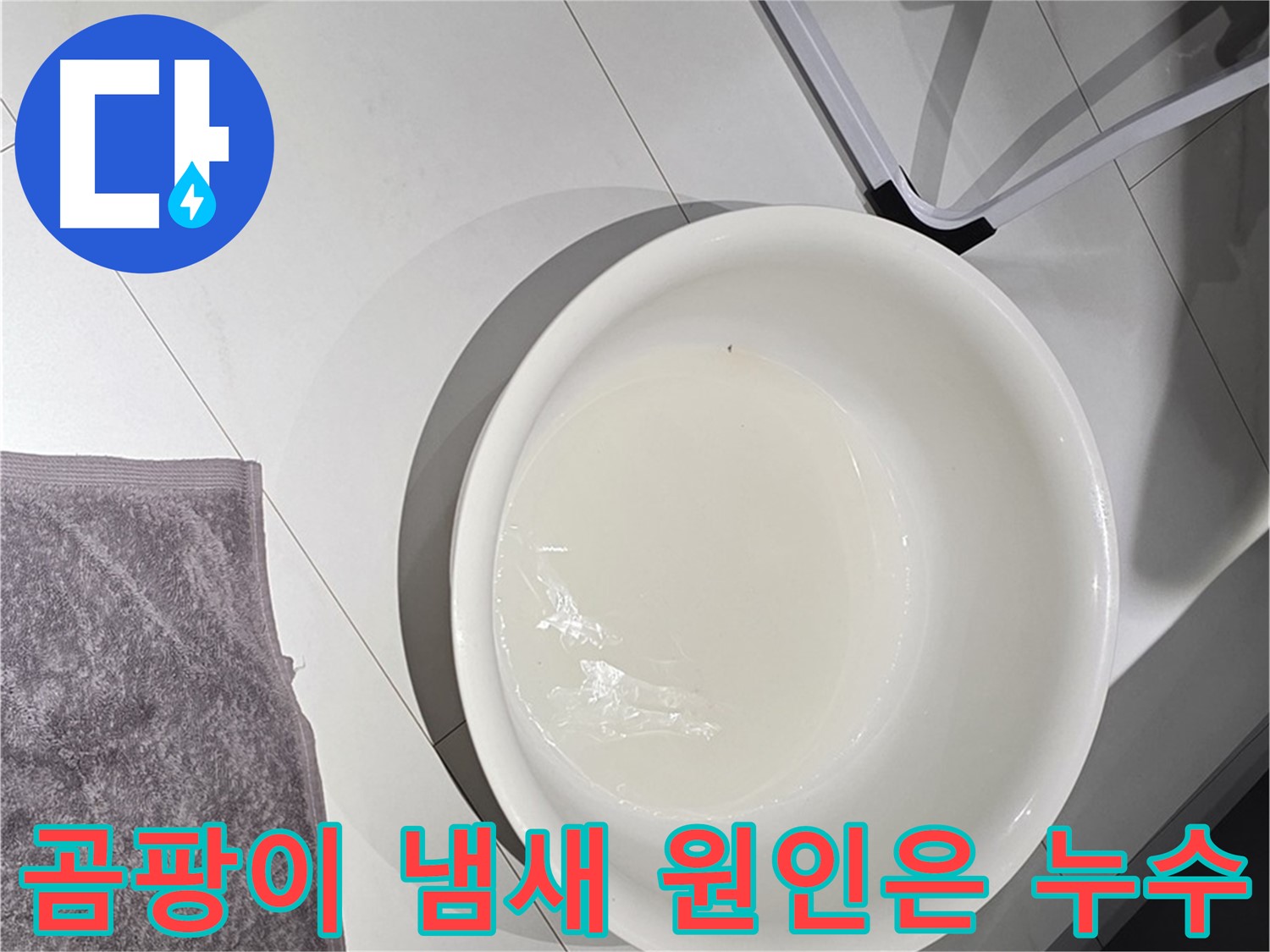 화장실 곰팡이 - 누수의 흔적일 수 있습니다.