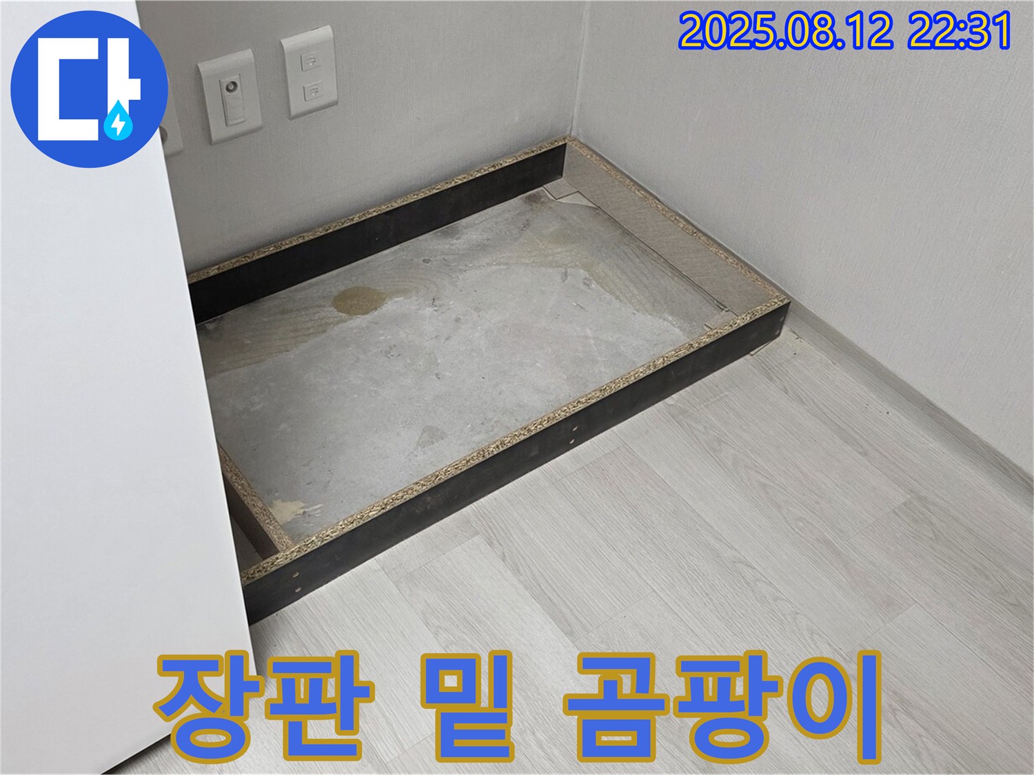 숭인로 누수 - 장판 밑 곰팡이, 건강 위협