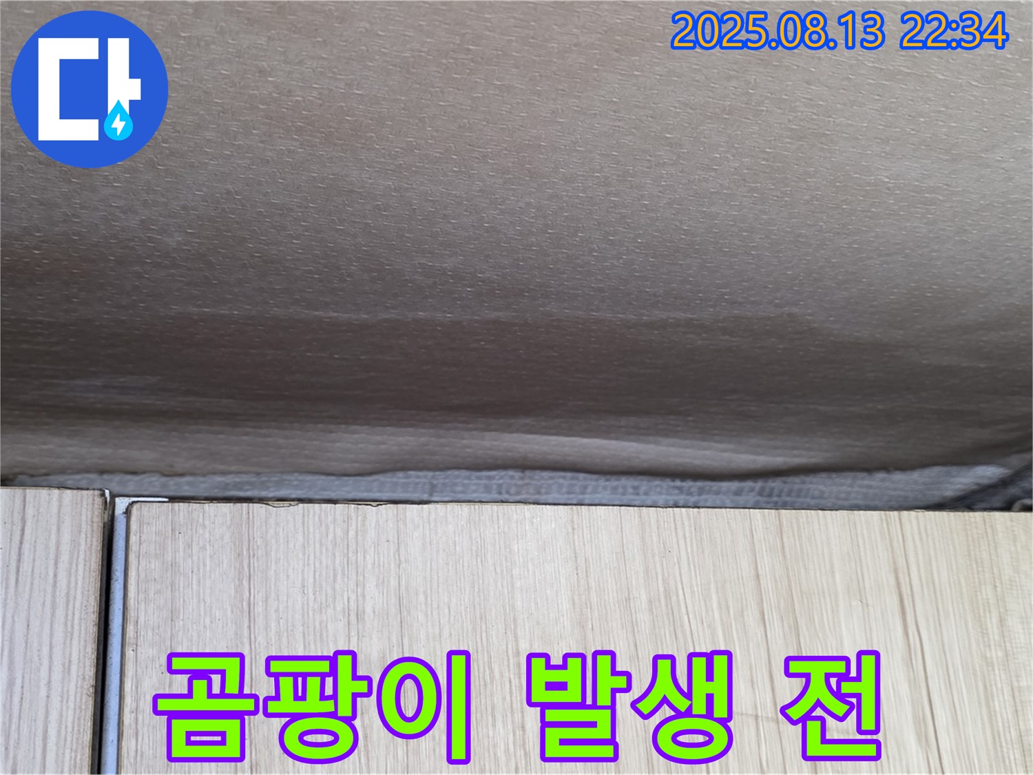 기흥구 천장 누수 - 곰팡이 발생 전 누수 조치의 중요성