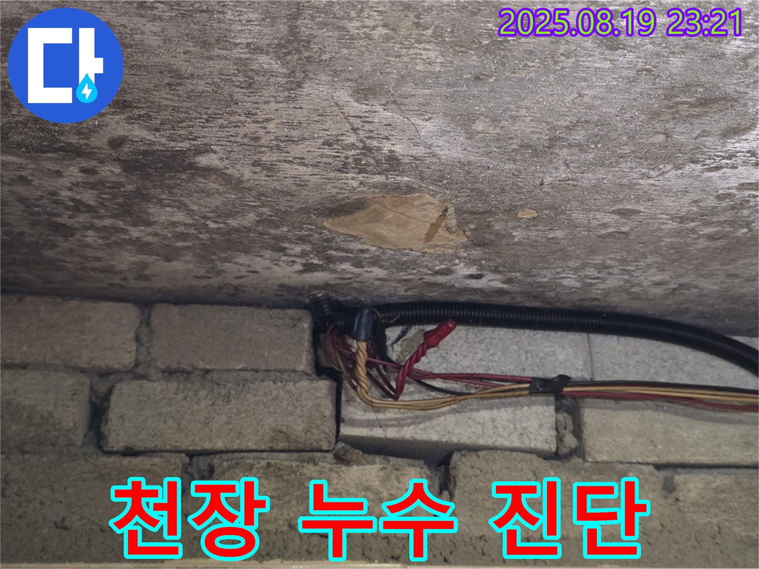 천장 누수 진단 과정 - 첨단 장비 활용