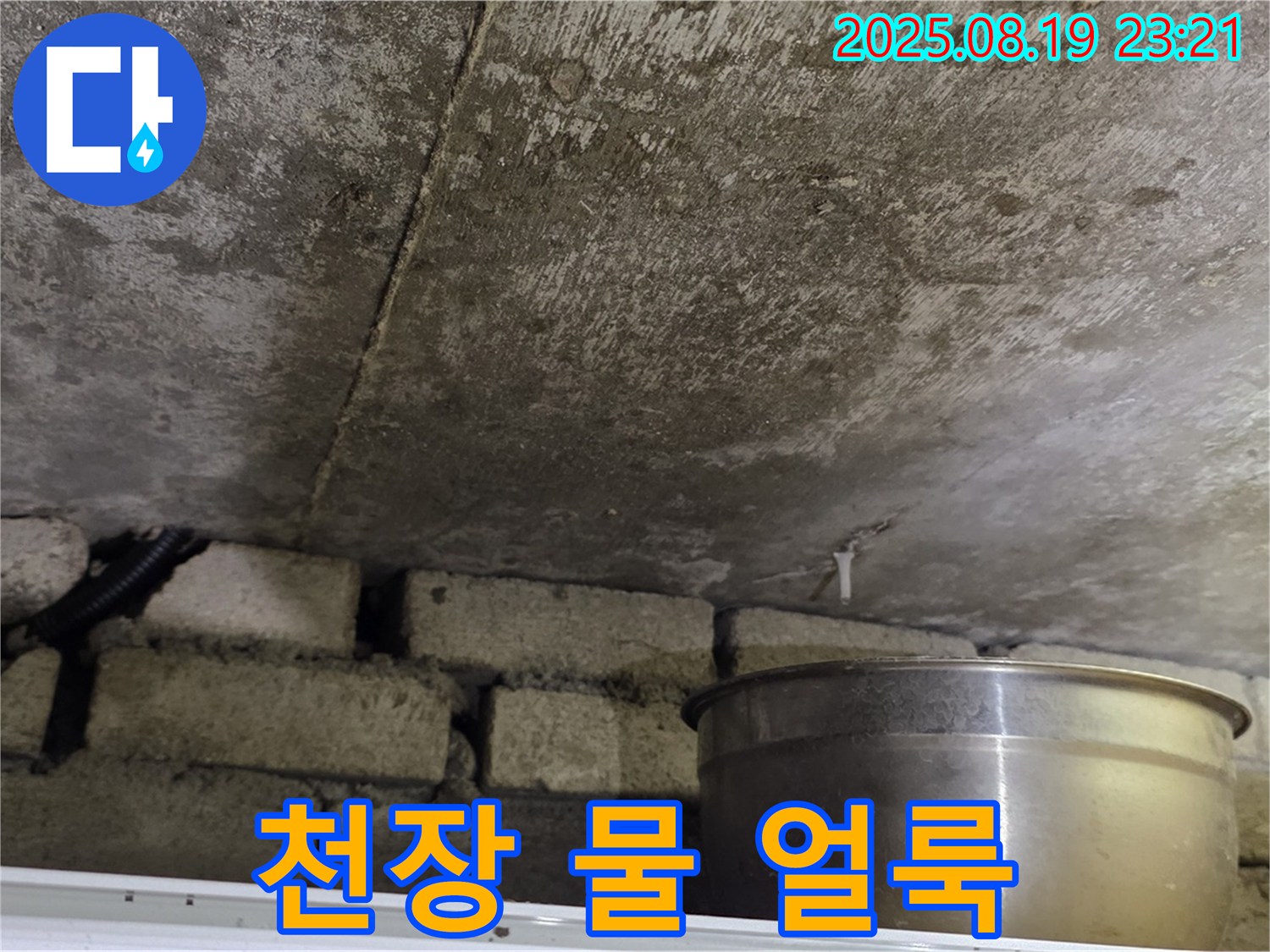 천장 물 얼룩 - 천장에 넓게 퍼진 물 얼룩 자국