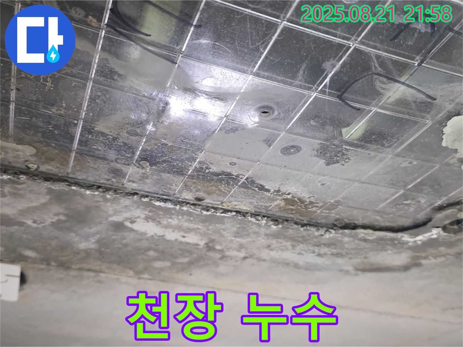 일산서구 아파트 천장 누수 - 누수 진행 상황