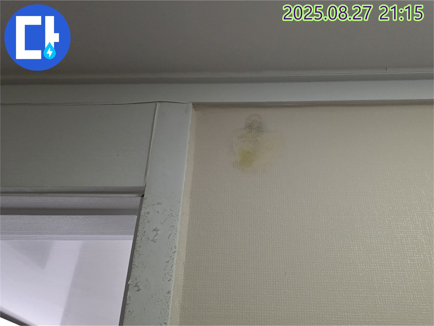 성남시 분당구 산운로 121 산운마을 6단지 - 벽 얼룩 - 빠른 진단 필요