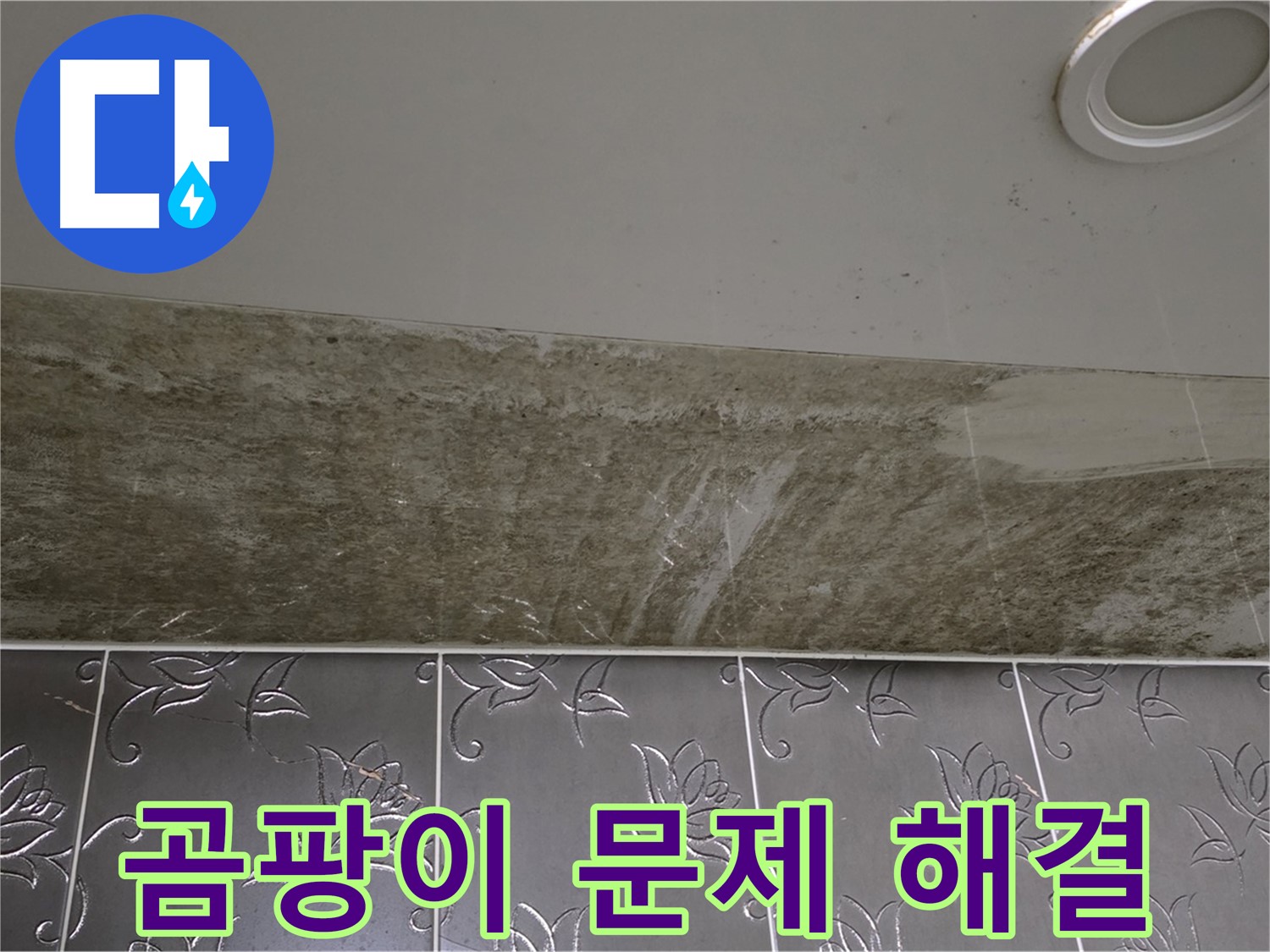 곰팡이 가득한 화장실 천장 - 문제 해결