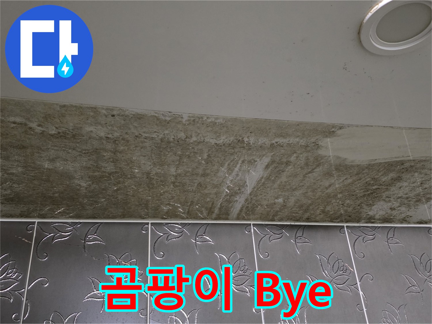 곰팡이 핀 화장실 - 곰팡이 Bye, 산뜻한 욕실 Hello