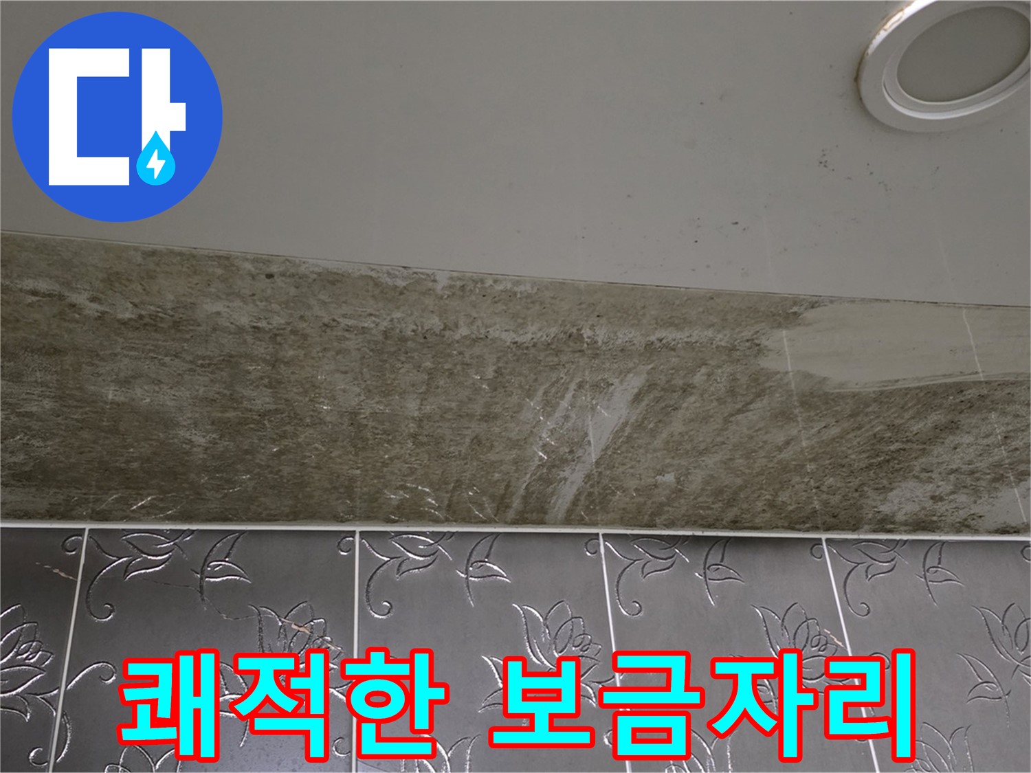 곰팡이 핀 화장실 천장 - 곰팡이 Bye, 쾌적한 보금자리