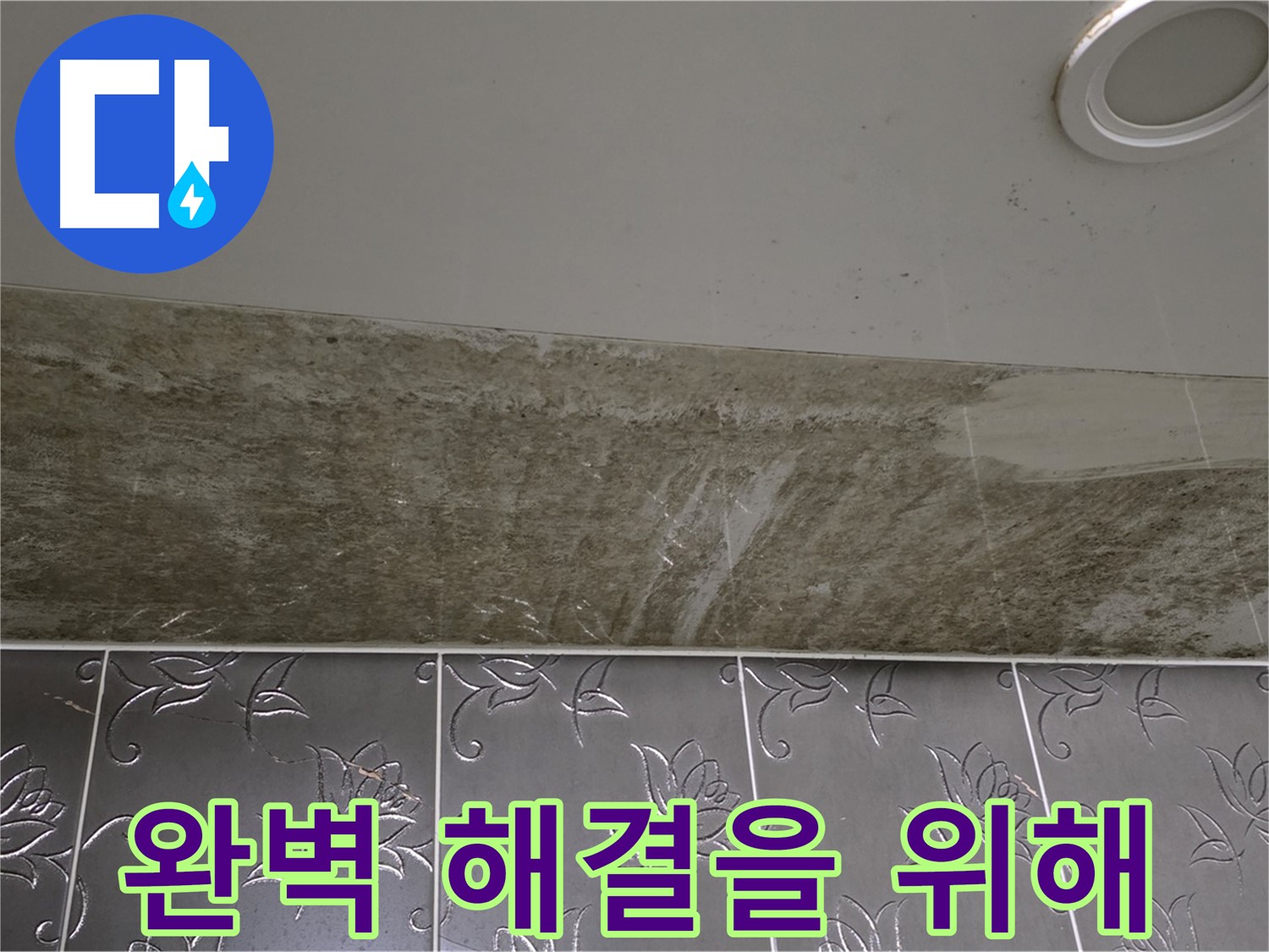곰팡이 핀 화장실 천장 - 완벽 해결을 위해