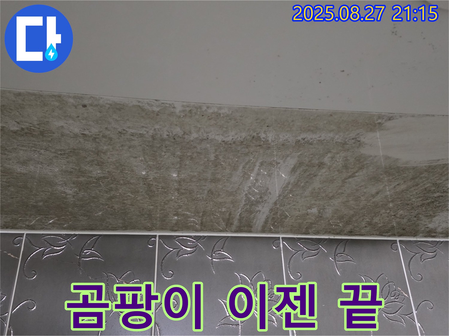 산운로 121 곰팡이 - 곰팡이, 이젠 끝!