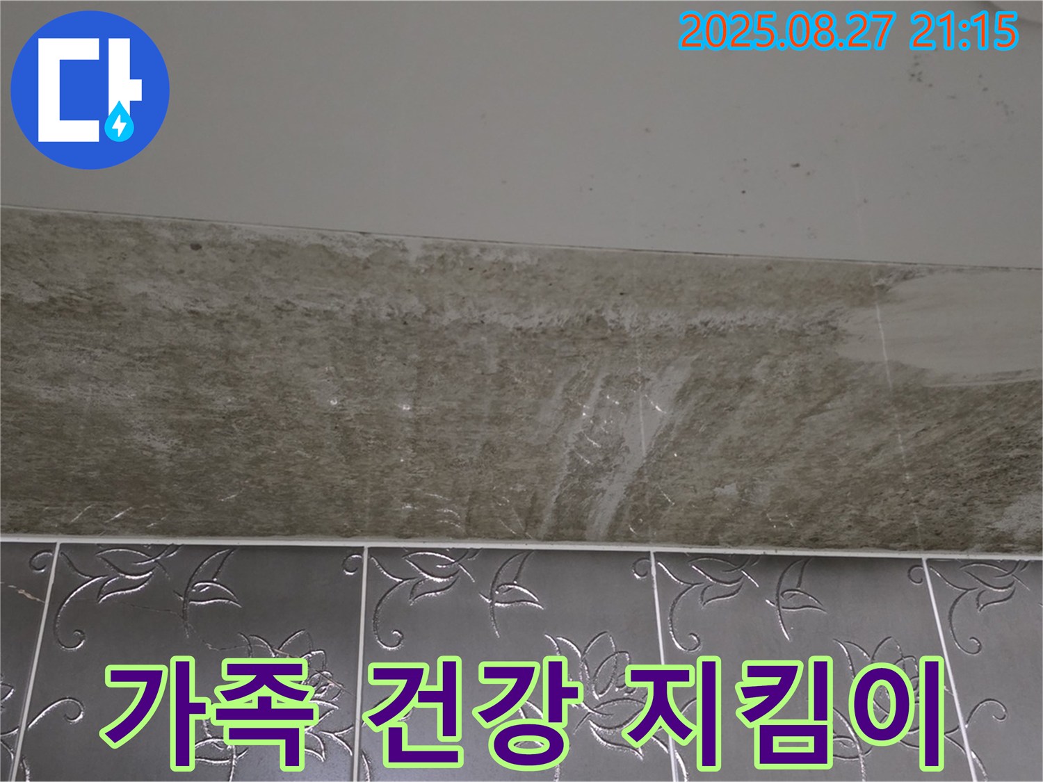 산운마을 곰팡이 - 가족 건강 지킴이!