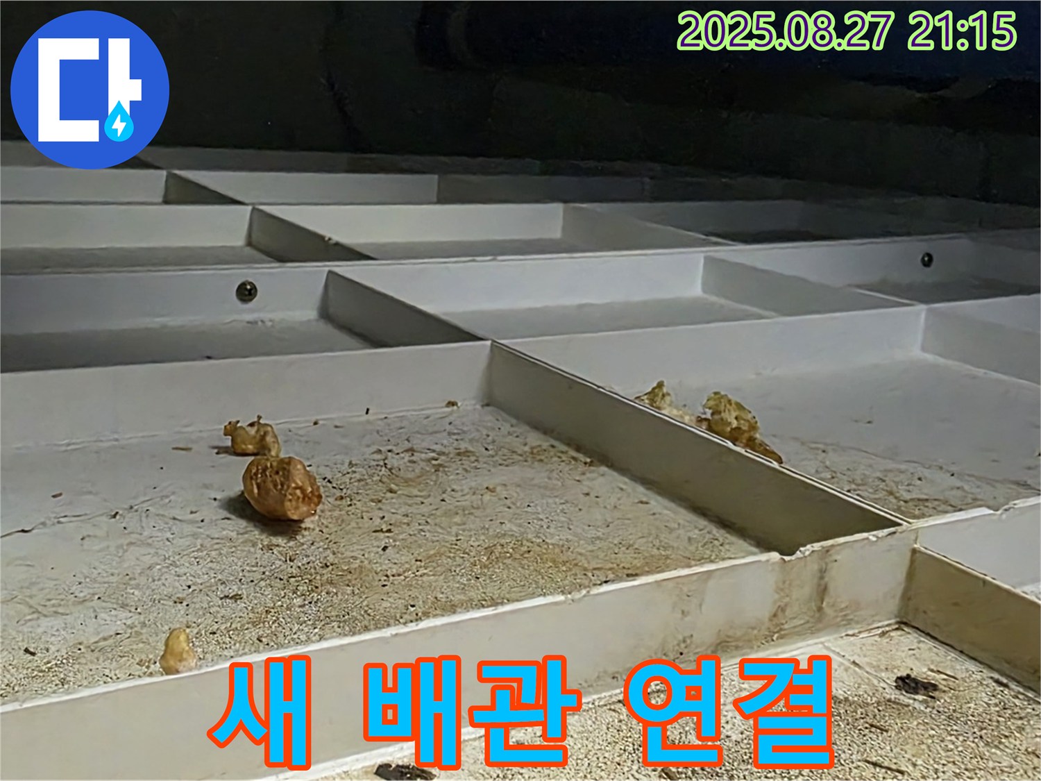 새 배관 연결 작업 진행 - 꼼꼼하게 연결합니다.