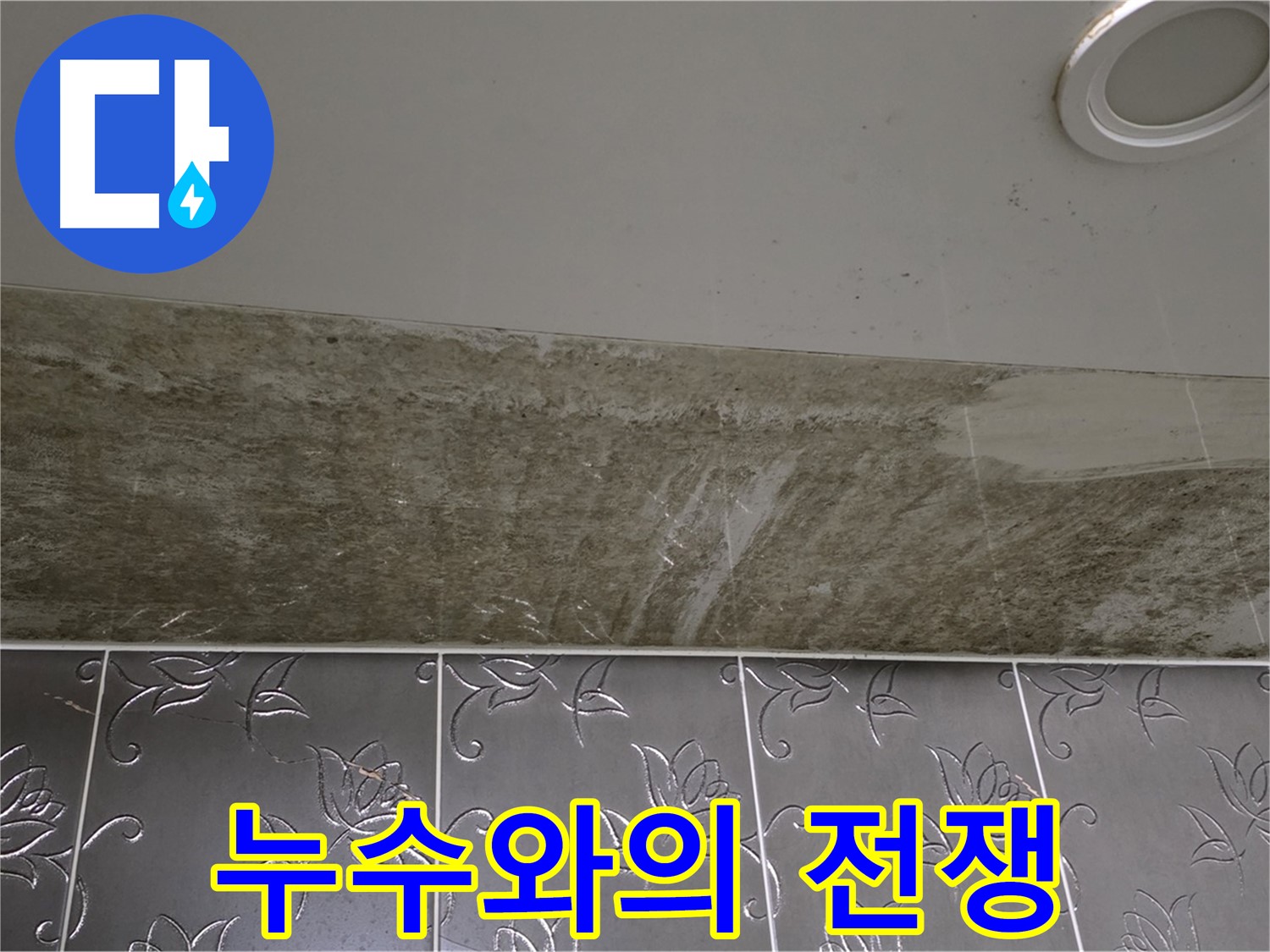 곰팡이 가득한 화장실 천장 - 누수와의 전쟁을 선포합니다.