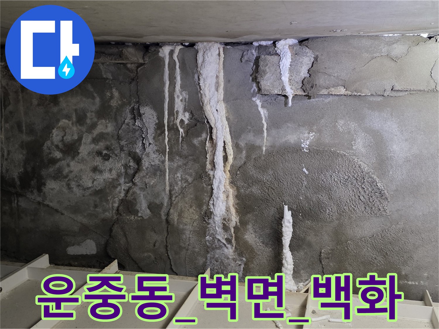운중동 콘크리트 벽면 - 심각한 백화 현상과 누수