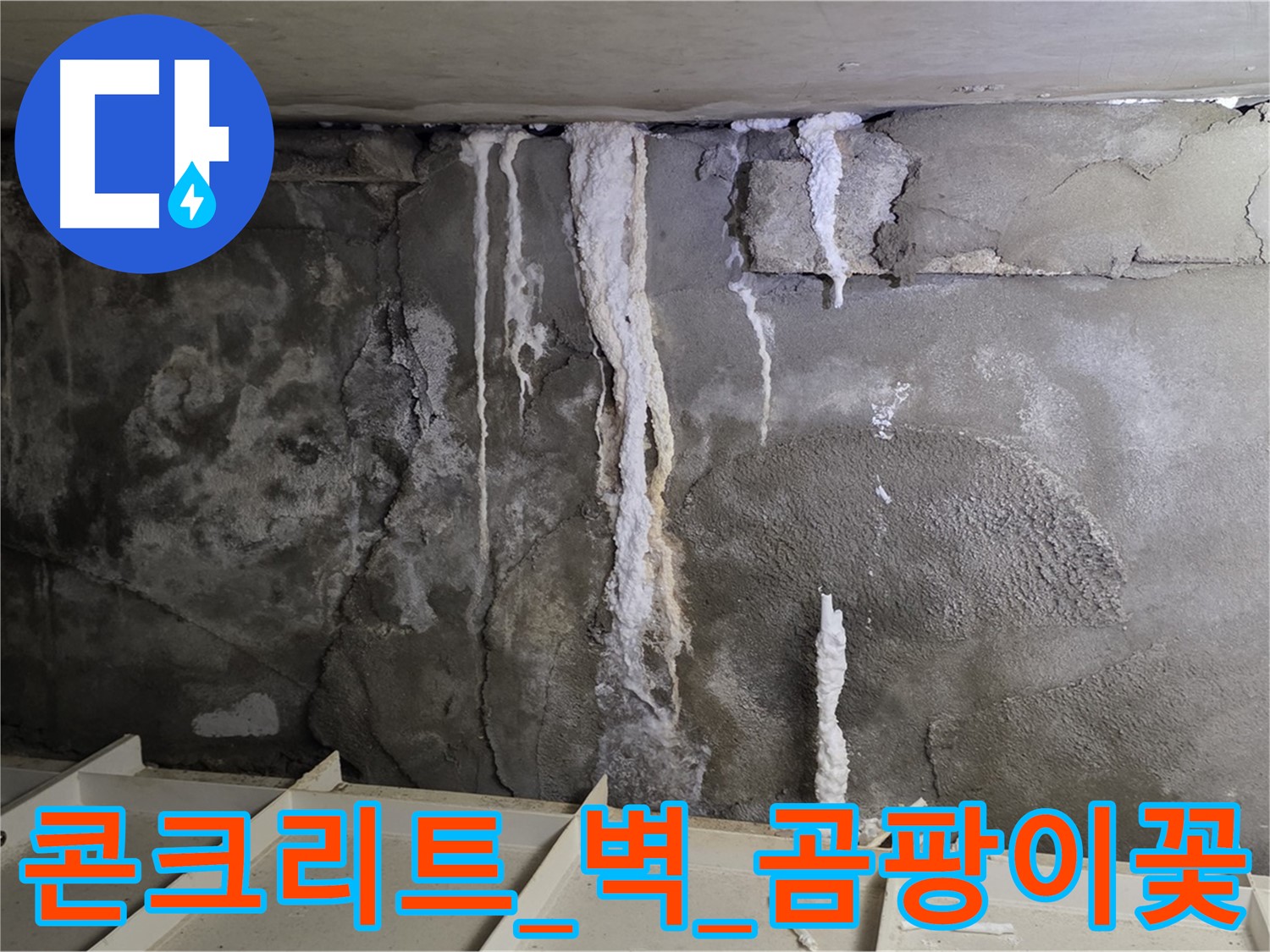 콘크리트 벽 - 석회수 몸살, 곰팡이 꽃 필라