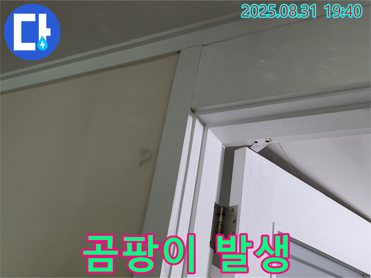 곰팡이 발생 - 문 위쪽 벽에 곰팡이가 넓게 퍼져있는 모습입니다.