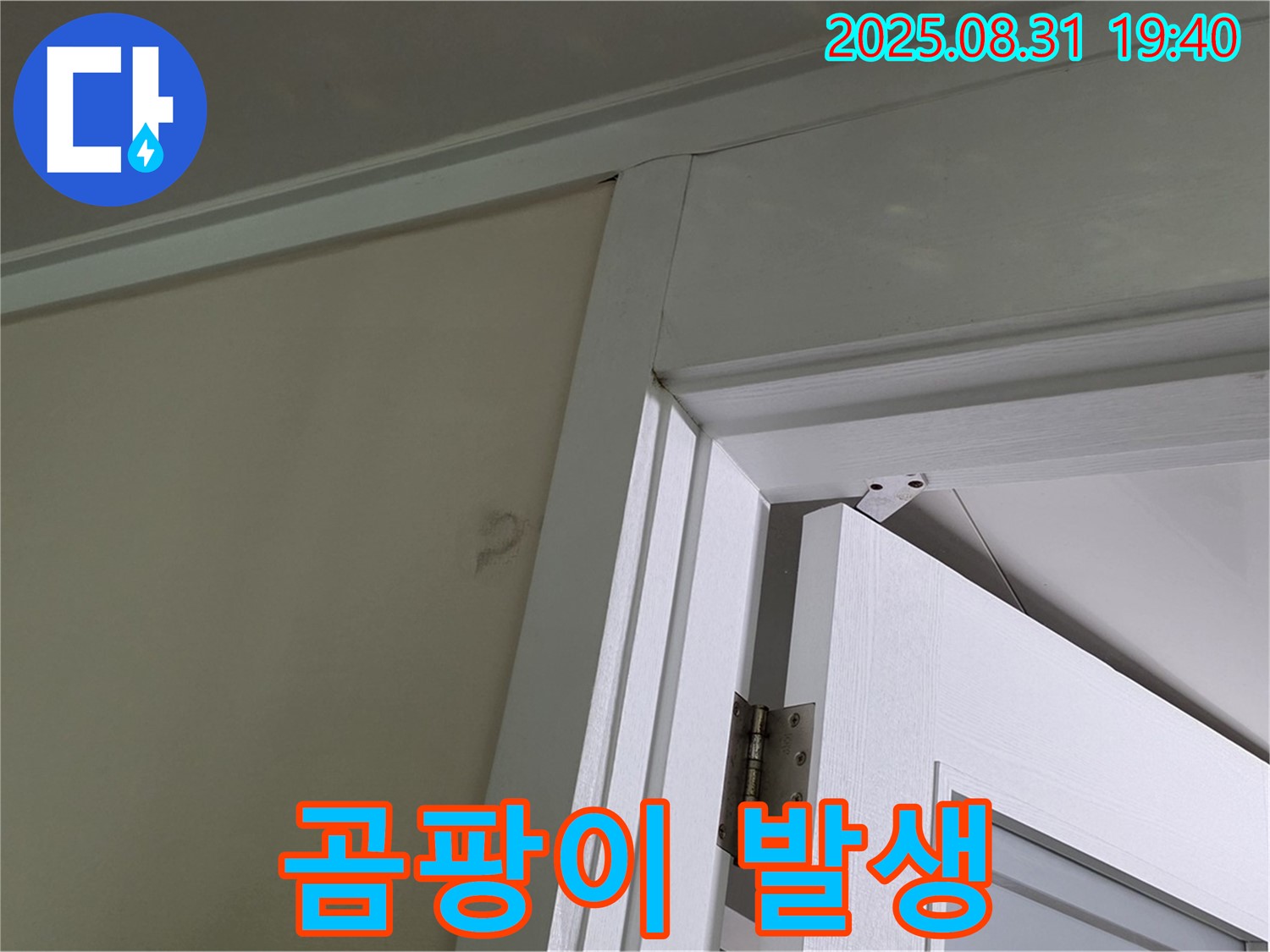 곰팡이 발생 - 문틀 위 천장에 곰팡이가 넓게 퍼져있는 모습입니다.