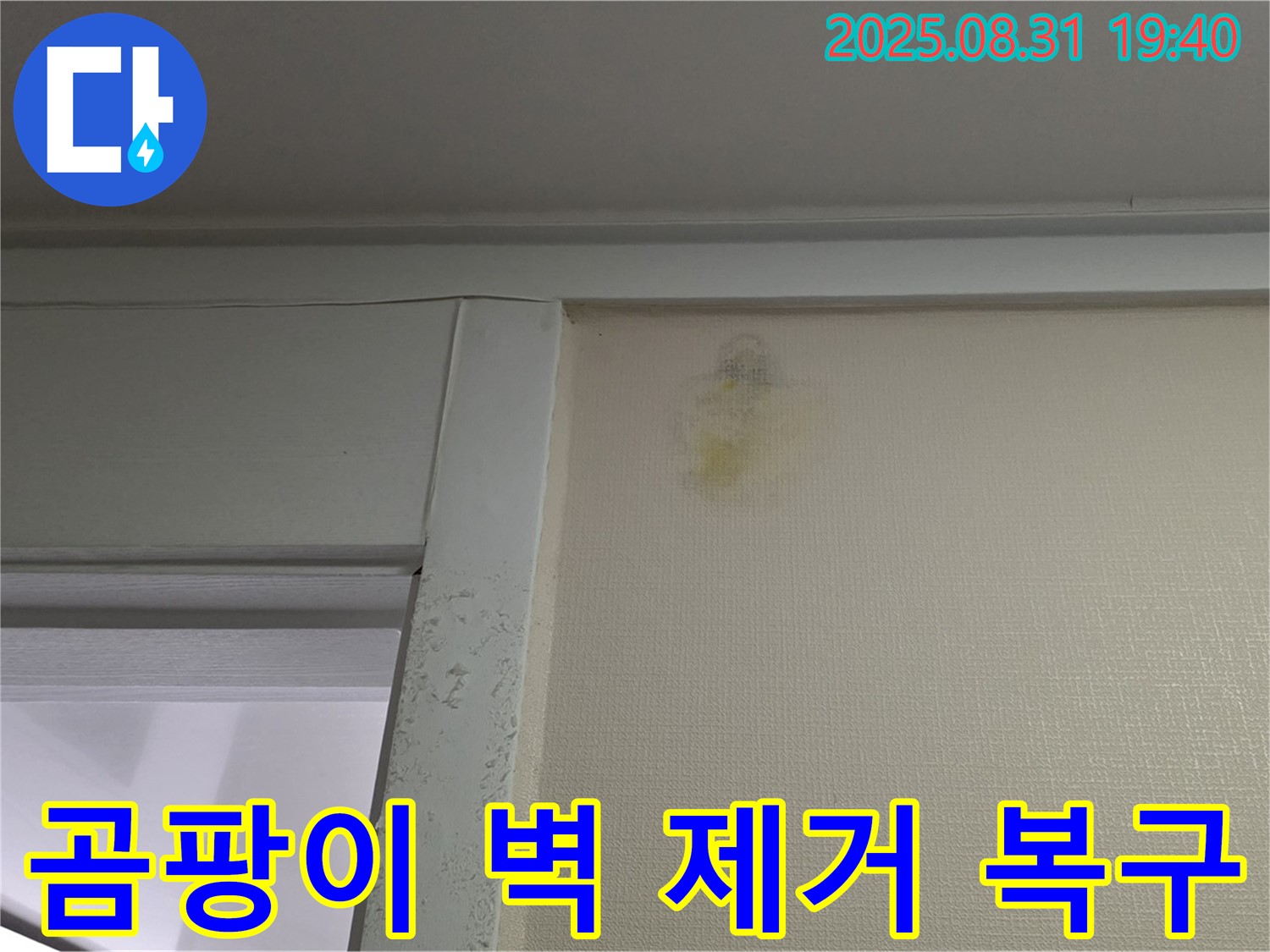 곰팡이 벽 제거 복구 - 성남시 분당구 산운로 누수