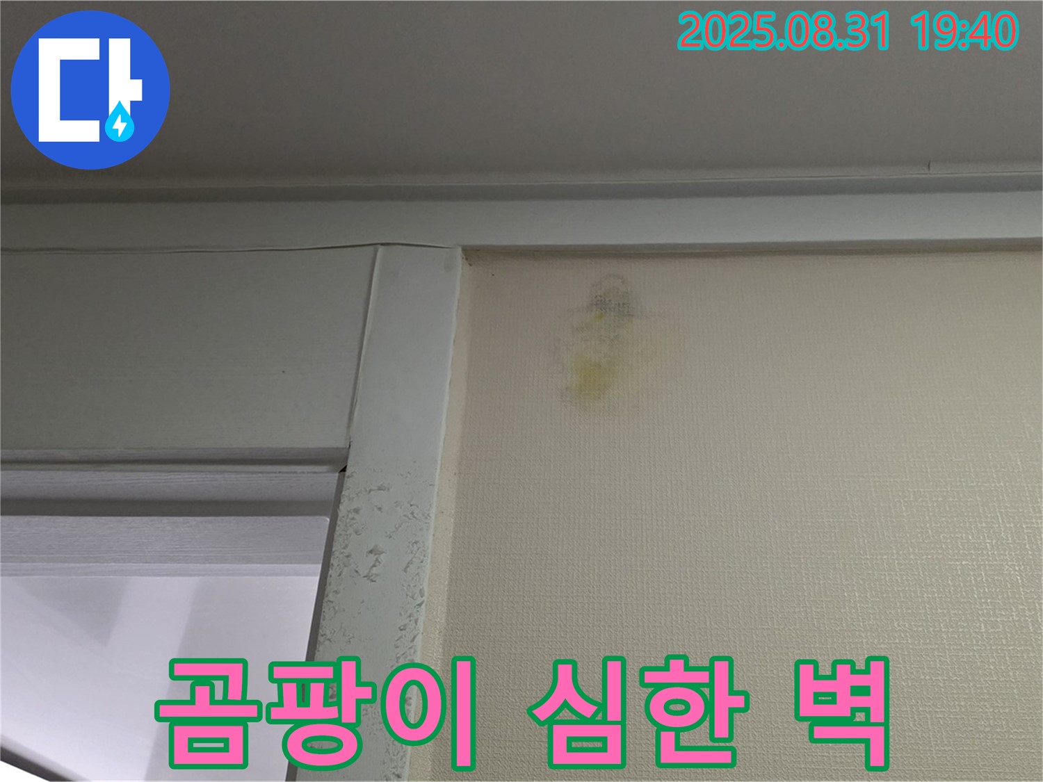 곰팡이 심한 벽 - 분당 산운로 누수 - 곰팡이 제거 시급