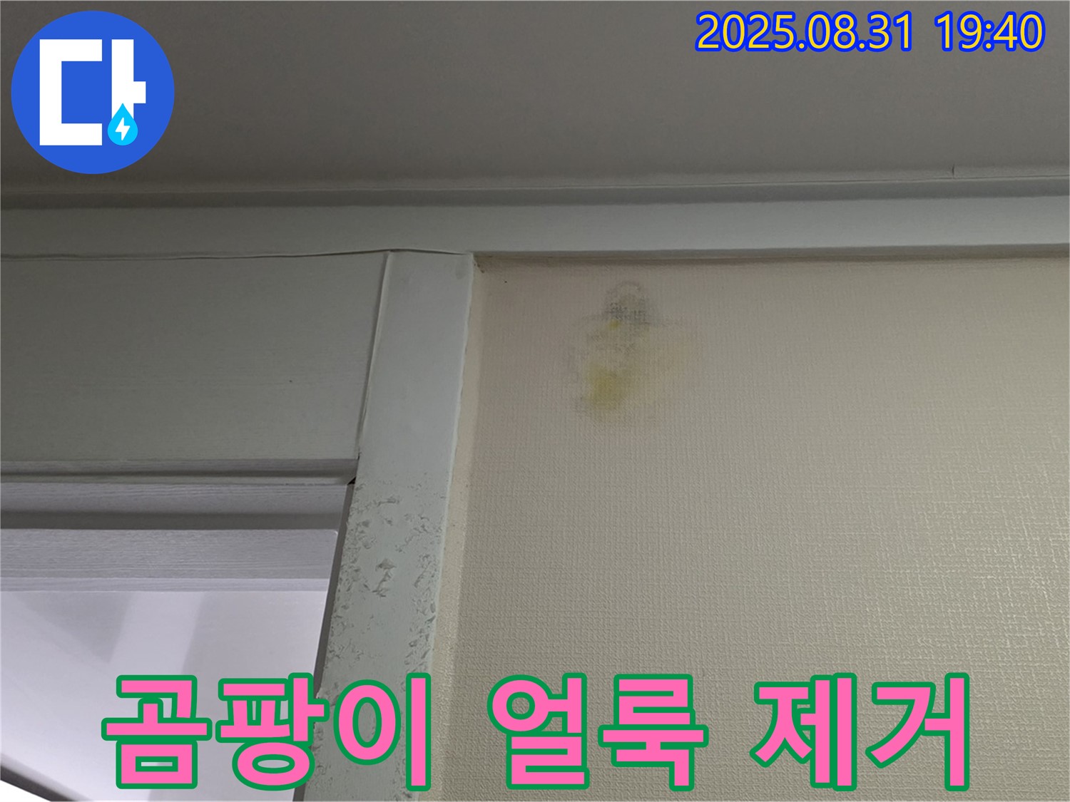 곰팡이 얼룩 제거 - 분당 산운로 누수 해결