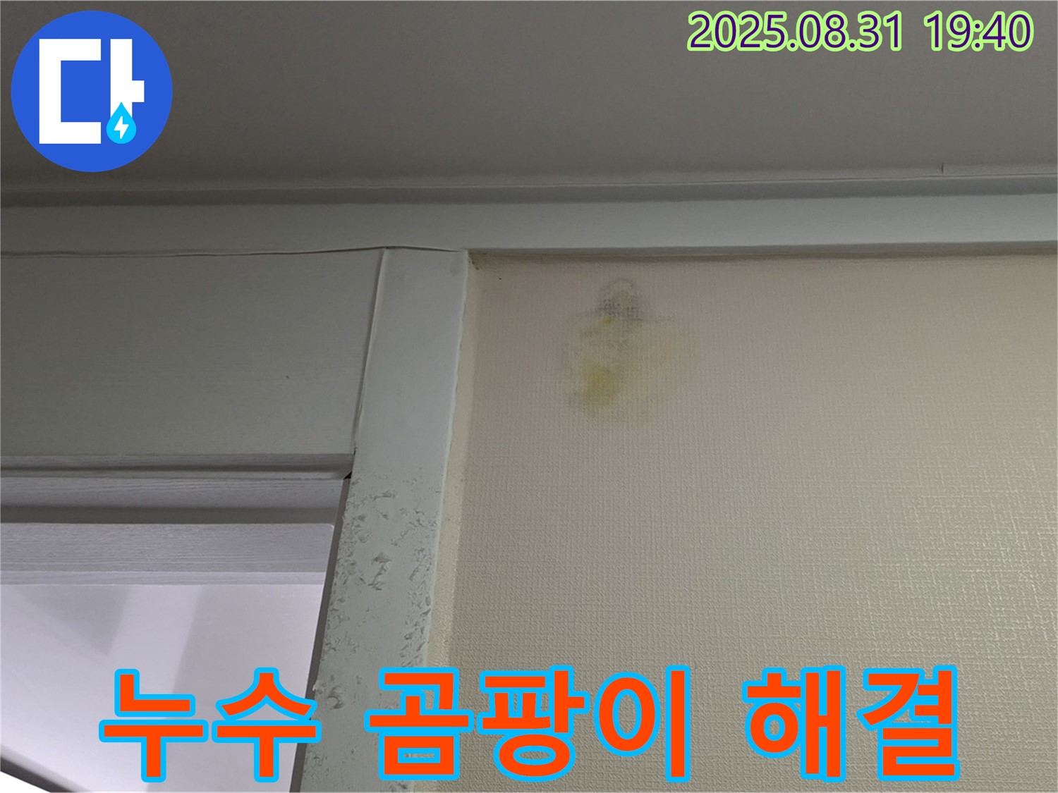 누수 곰팡이 해결 - 성남 분당 산운로