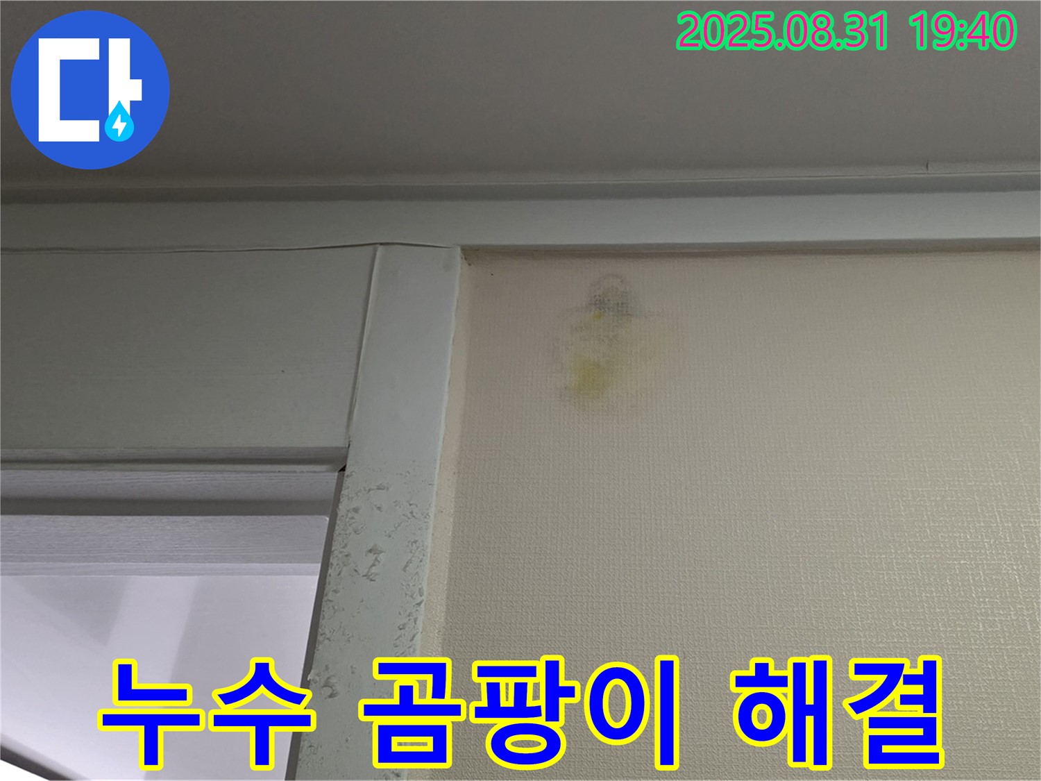 누수 곰팡이 해결 - 성남 분당 산운로 누수 - 고객 만족