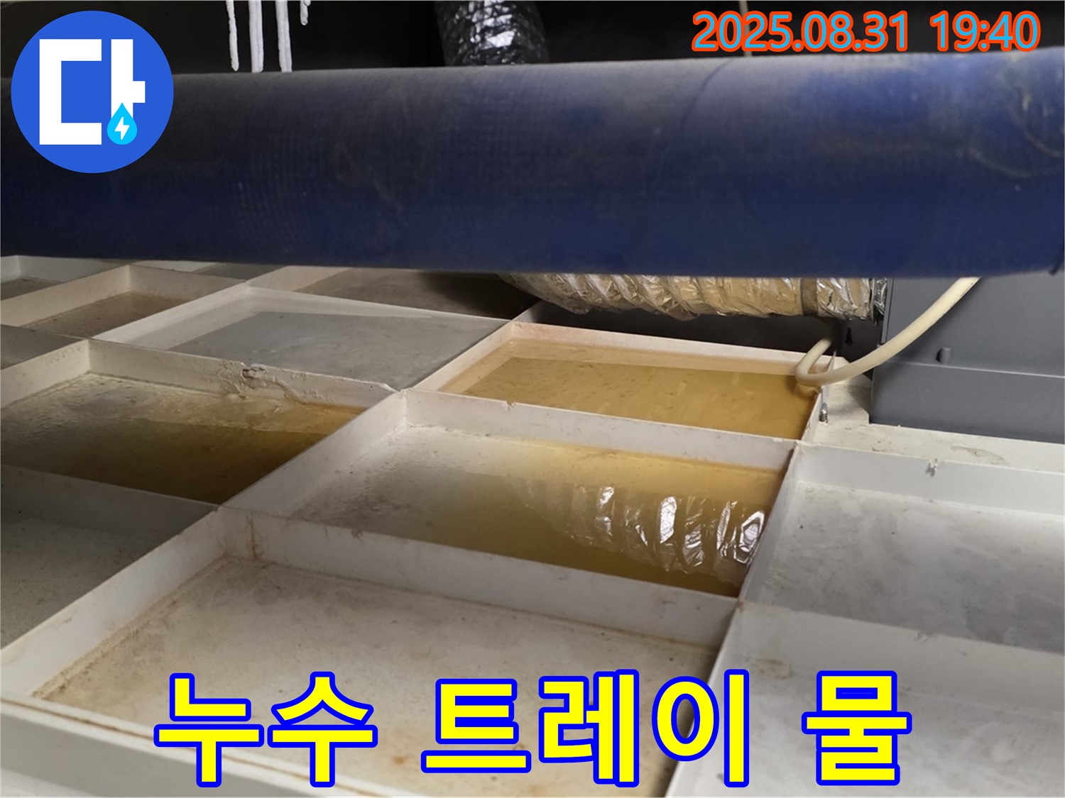 누수 트레이 - 고여있는 물, 누수 의심