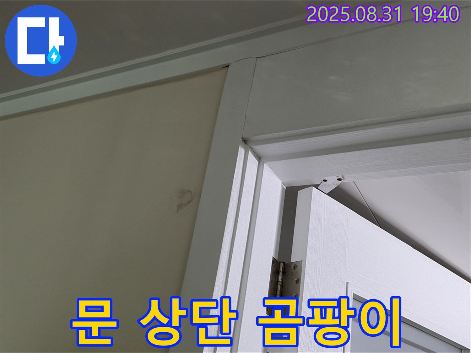 문 상단 곰팡이 - 문 위쪽 벽에 곰팡이가 넓게 퍼져 있습니다.