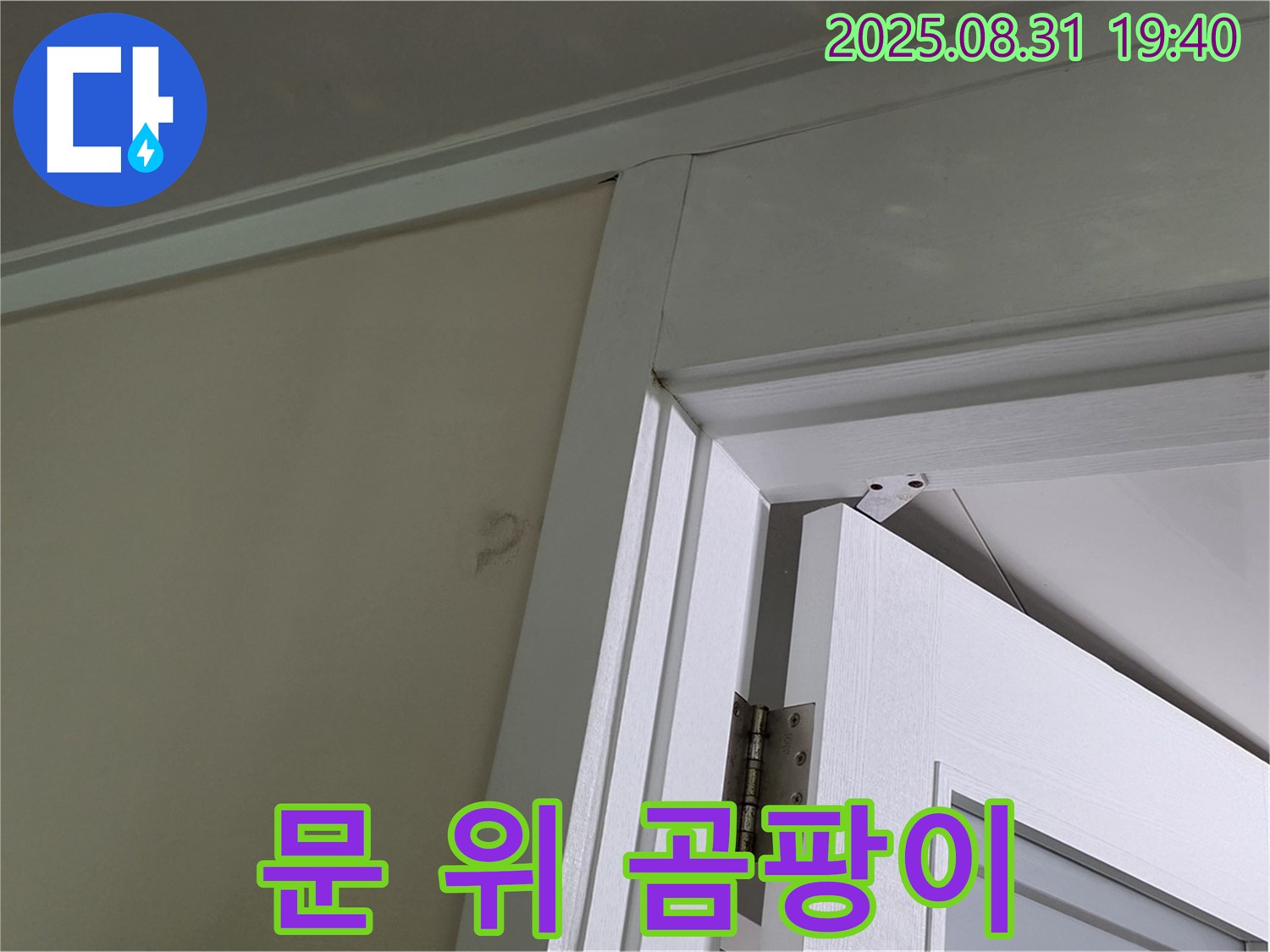 문 위쪽 곰팡이 - 천장과 문틀 사이에 곰팡이가 피어 있습니다.