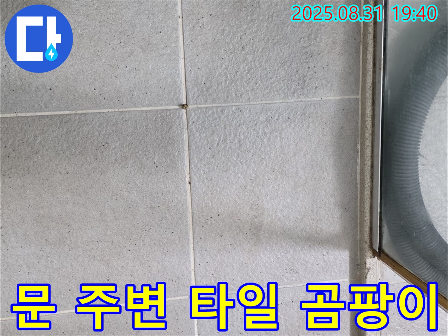 문 주변 타일 곰팡이 - 누수 신호일 수 있으니 주의!