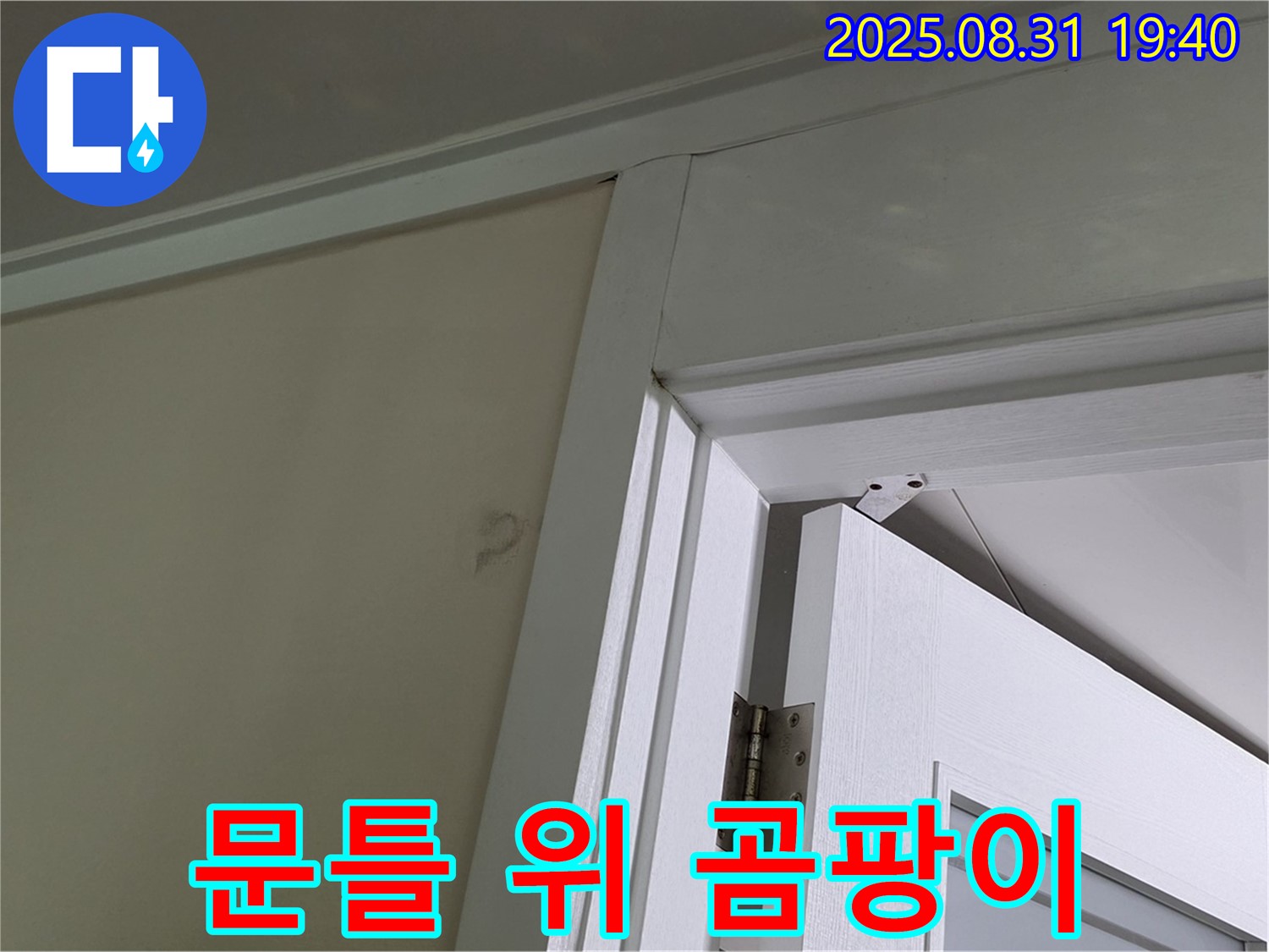 문틀 위 곰팡이 - 문틀 위 천장에 곰팡이가 발생했습니다.