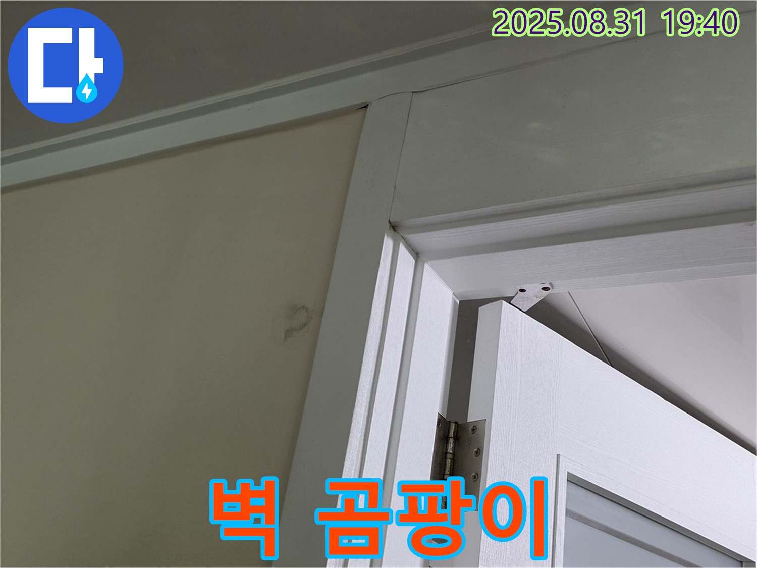 벽 곰팡이 - 문 위쪽 벽에 곰팡이가 발생했습니다.