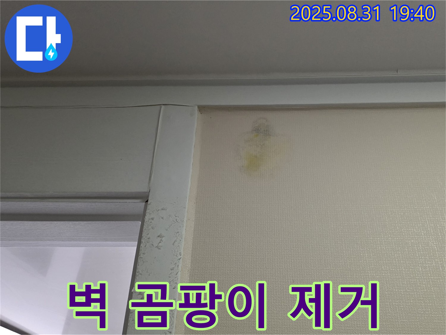 벽 곰팡이 제거 - 성남시 분당구 산운로 누수