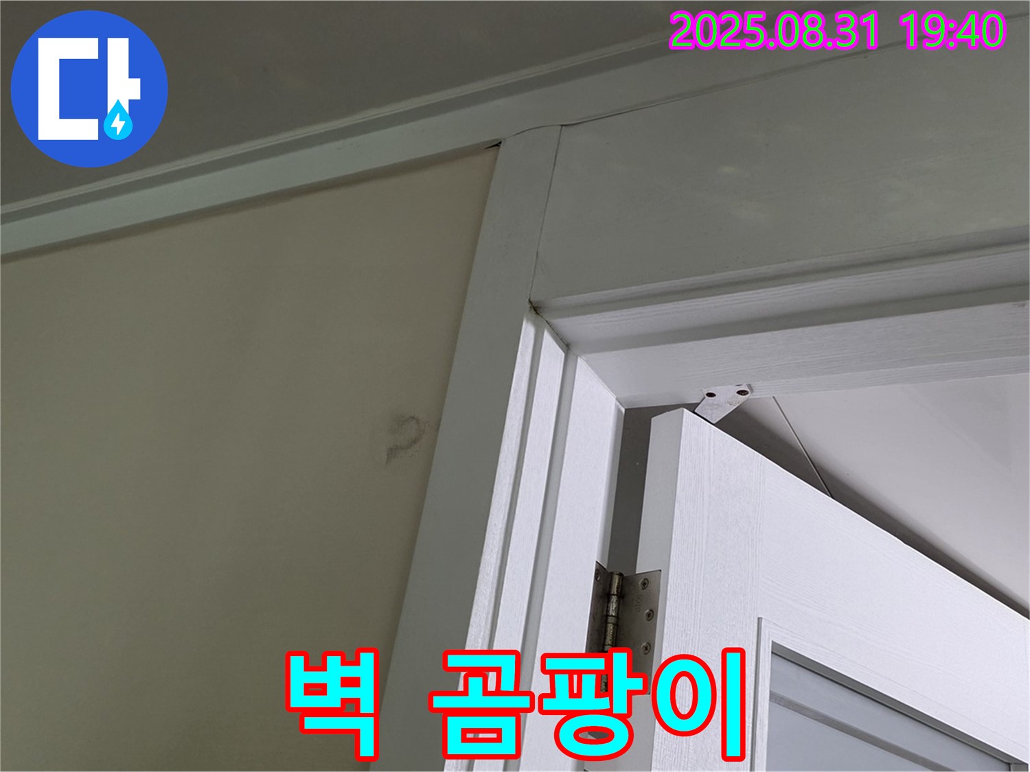 벽 곰팡이 - 천장과 벽 사이에 곰팡이가 피어 있습니다.