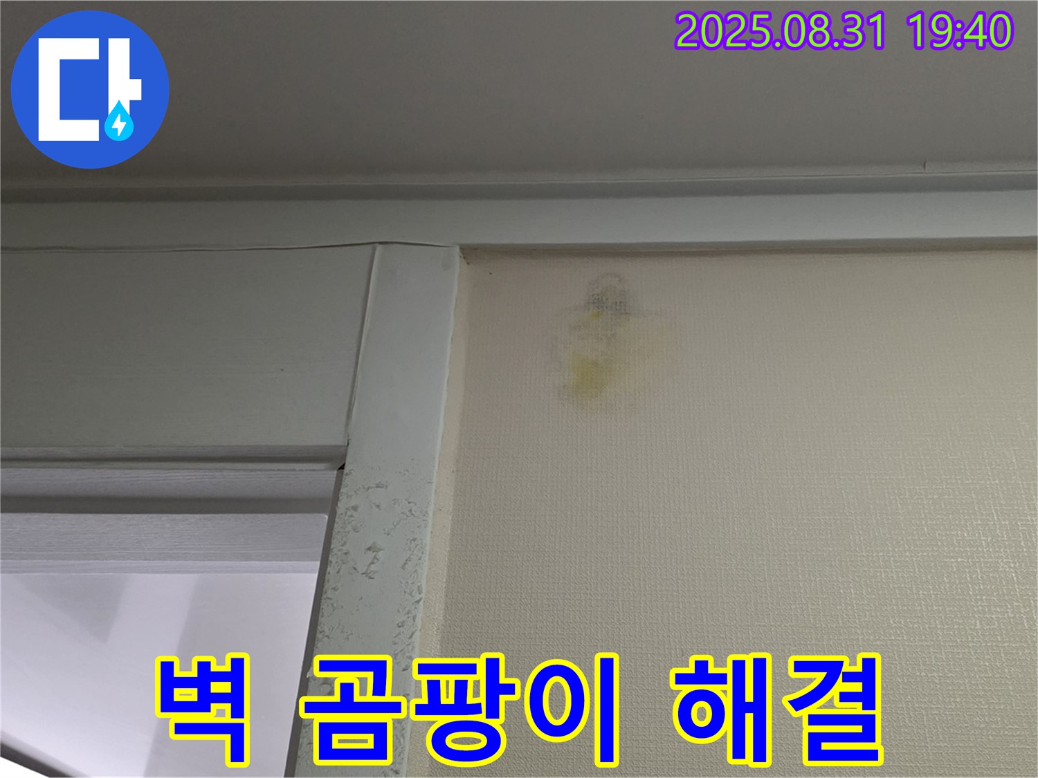 벽 곰팡이 해결 - 성남 분당구 산운로 누수