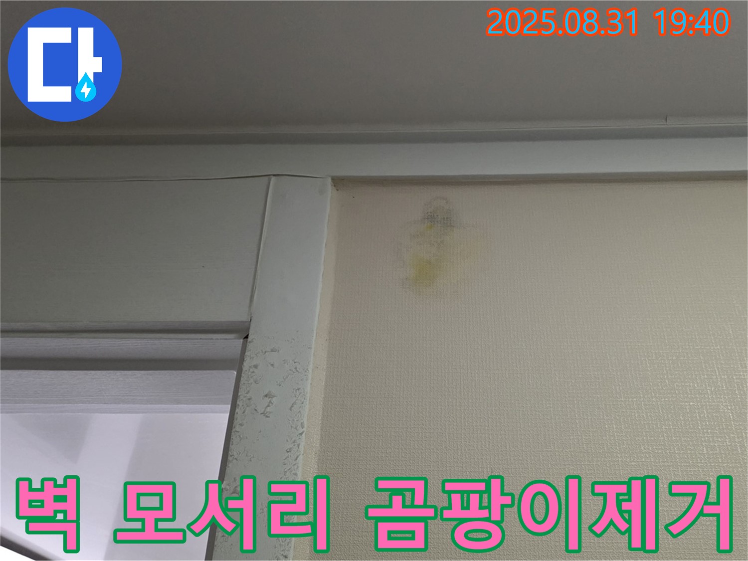 벽 모서리 곰팡이 제거 - 성남 분당구 산운로 누수