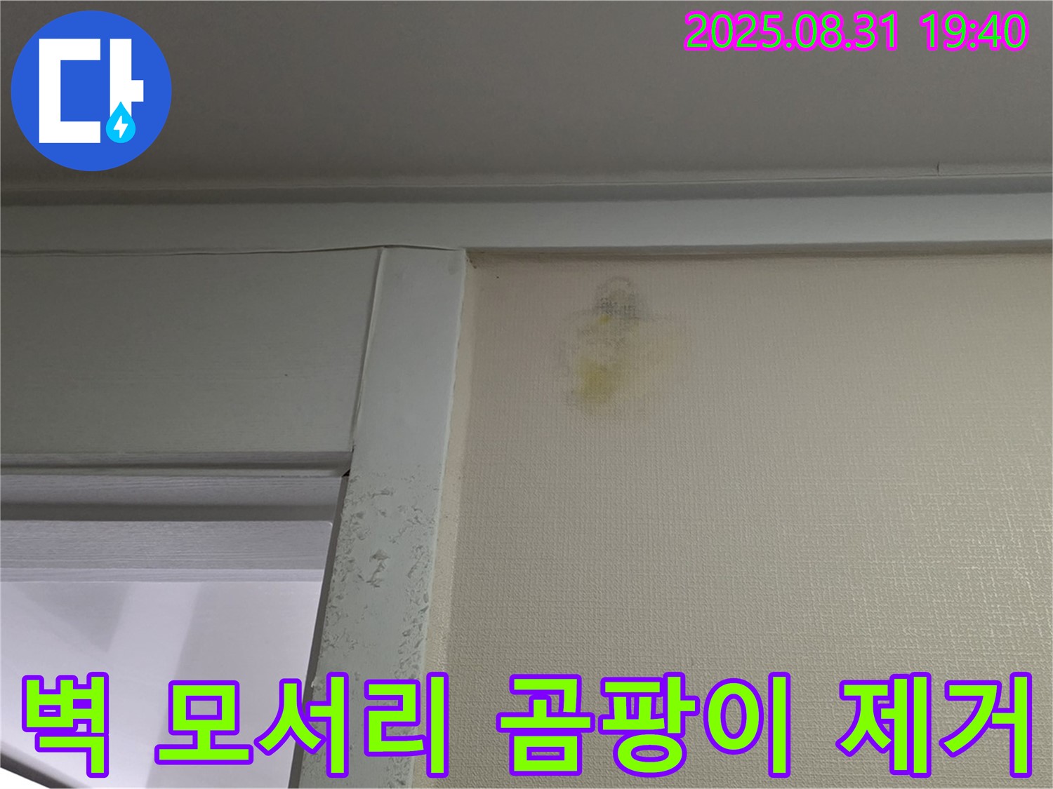 벽 모서리 곰팡이 제거 - 성남 분당구 산운로 누수