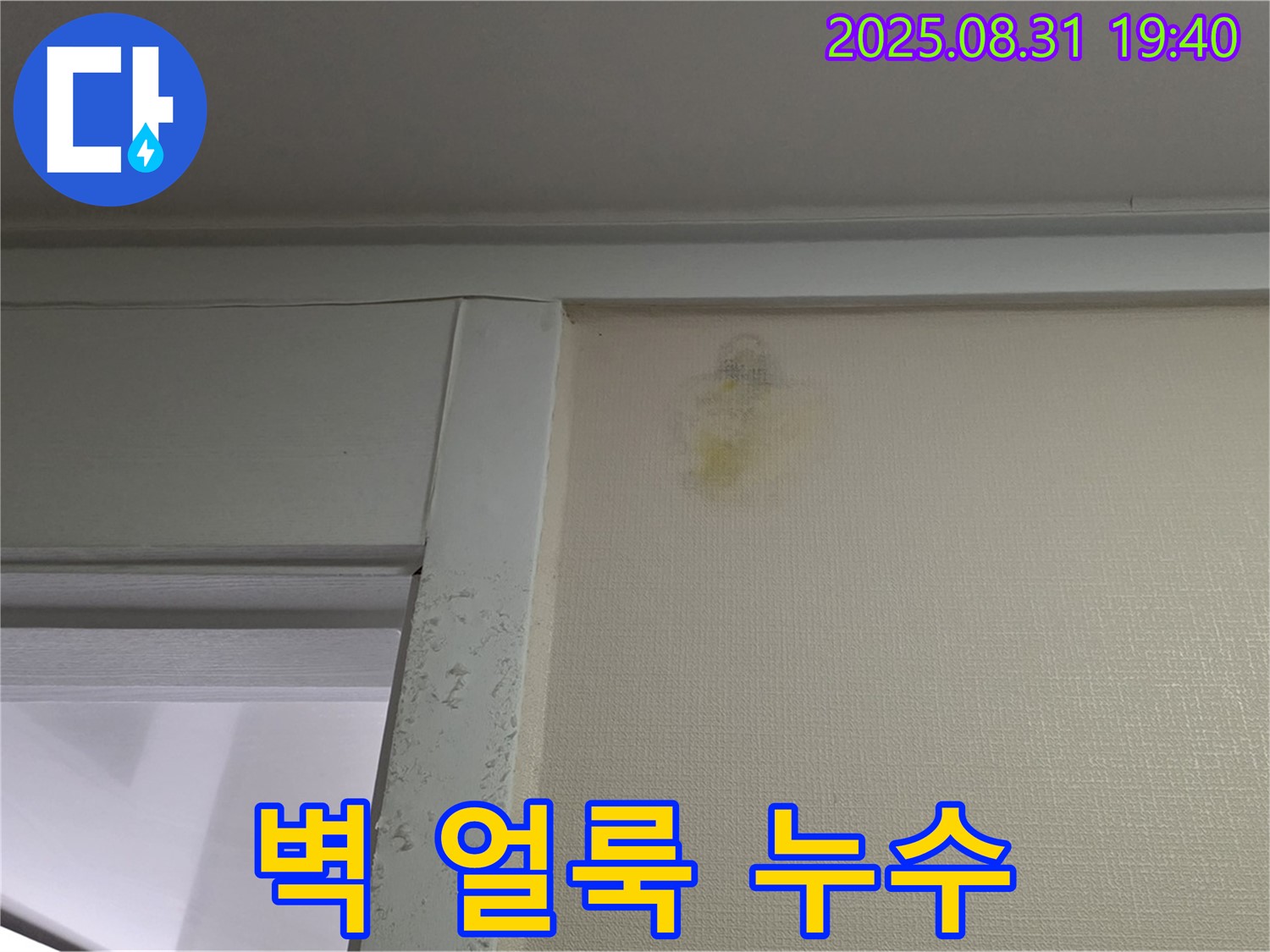 벽 얼룩 - 누수 의심 - 분당구 산운동 누수