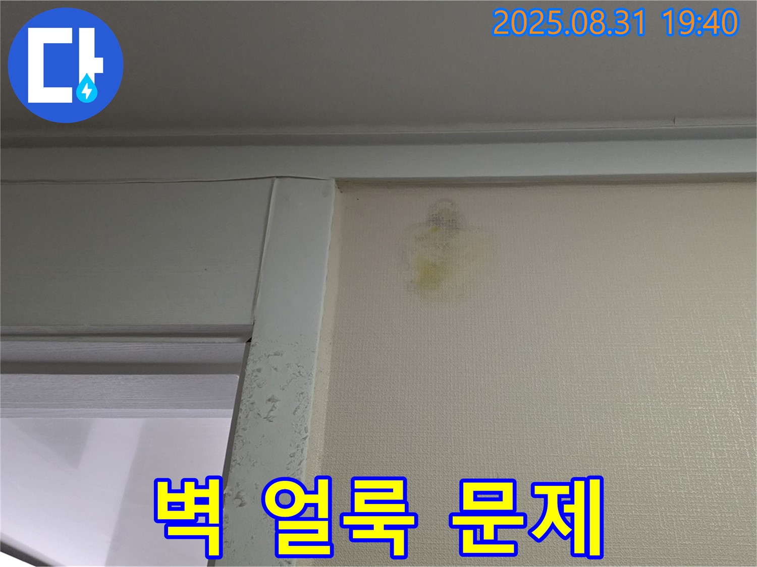 벽 얼룩 문제 - 성남 분당 산운로 누수 - 전문가 해결