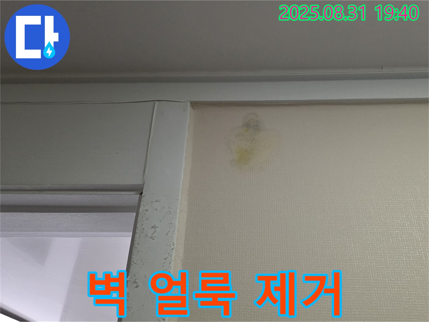 벽 얼룩 제거 - 성남시 분당구 산운로 누수