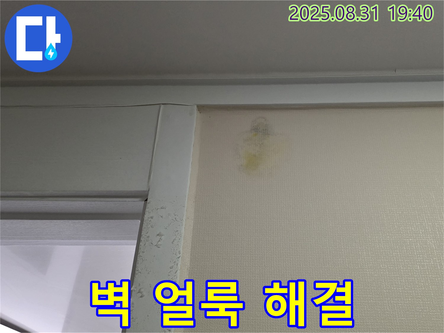 벽 얼룩 해결 - 성남 분당구 산운로 누수 - 걱정 끝