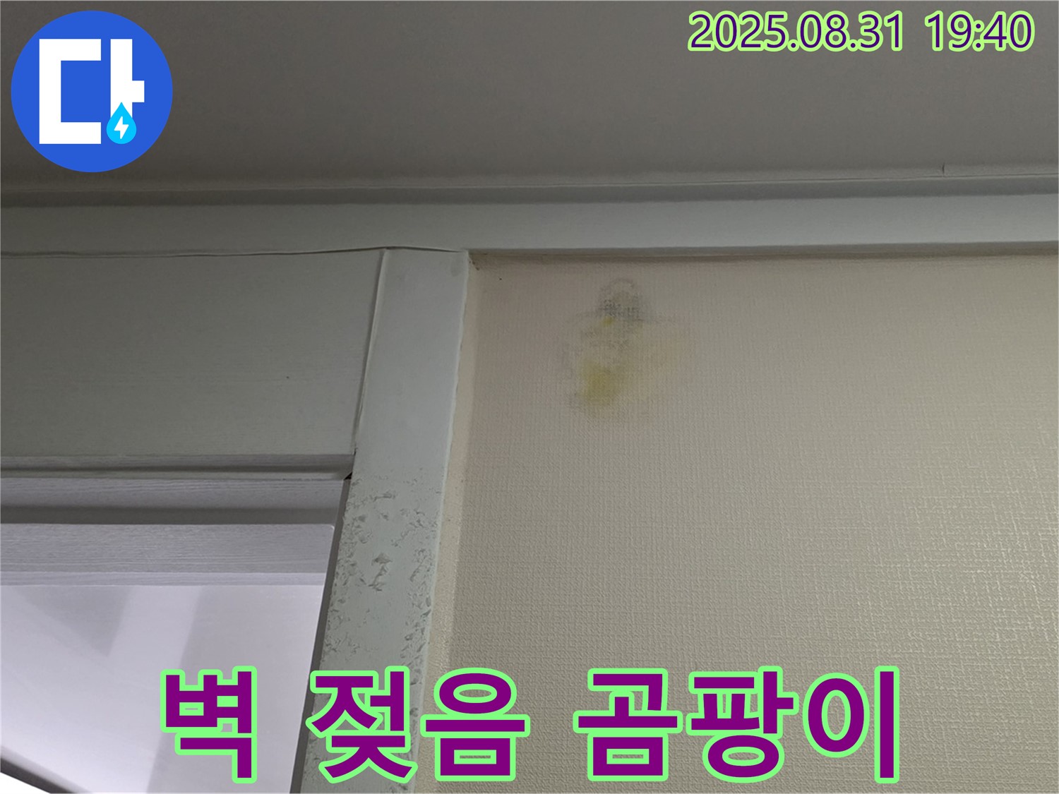 벽 젖음 - 곰팡이 발생 - 분당 산운로 누수