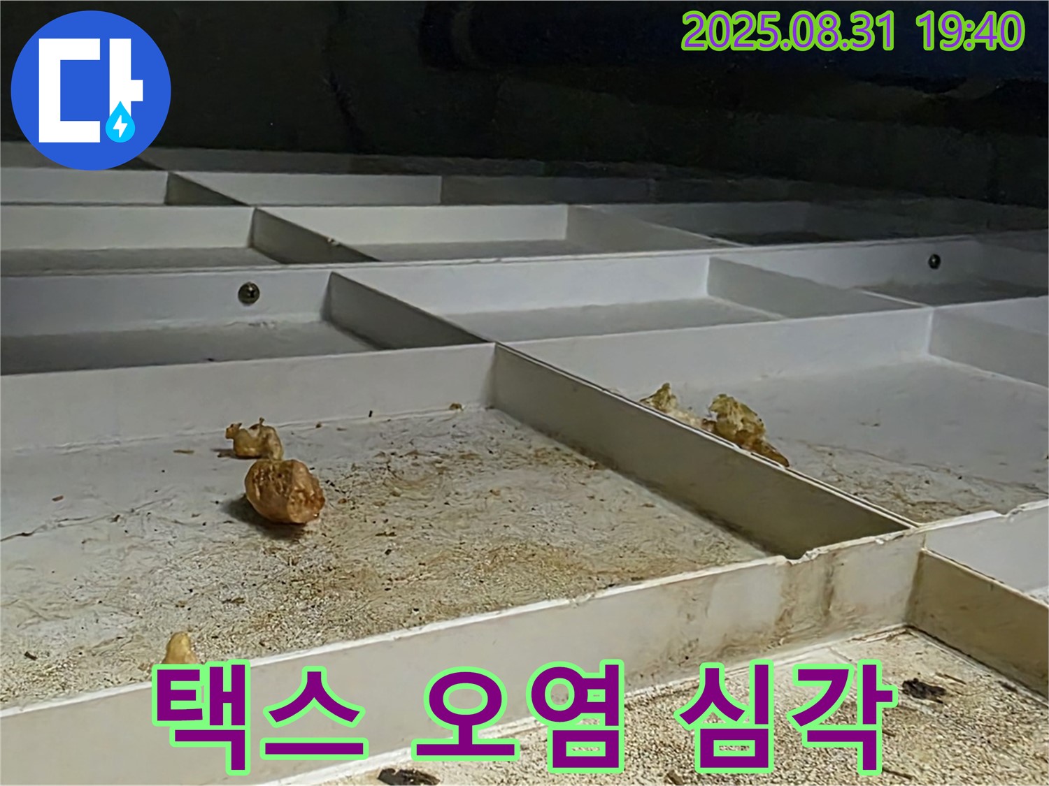 분당 구미동 누수 - 천장 택스 오염 상태 확인
